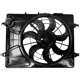 Purchase Top-Quality Radiator Cooling Fan Assembly by SHERMAN PARTS - 3194B-420-0 pa1