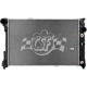 Purchase Top-Quality Radiateur by CSF - 3548 pa1