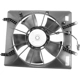 Purchase Top-Quality Radiator Fan Assembly by AGILITY - 6019135 pa1