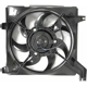 Purchase Top-Quality Radiator Fan Assembly by AGILITY - 6020112 pa1
