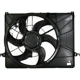 Purchase Top-Quality Radiator Fan Assembly by AGILITY - 6020113 pa1
