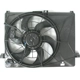 Purchase Top-Quality Radiator Fan Assembly by AGILITY - 6023122 pa1