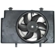 Purchase Top-Quality APDI - 6010053 - Engine Cooling Fan Assembly pa1