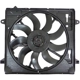 Purchase Top-Quality Radiator Fan Assembly by APDI - 6010277 pa1
