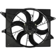 Purchase Top-Quality DORMAN - 620-118 - Engine Cooling Fan Assembly pa1