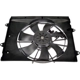 Purchase Top-Quality DORMAN - 621967 - Radiator Fan Assembly pa2