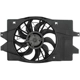 Purchase Top-Quality Radiator Fan Assembly by DORMAN (OE SOLUTIONS) - 620-002 pa1