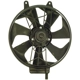Purchase Top-Quality Radiator Fan Assembly by DORMAN (OE SOLUTIONS) - 620-009 pa1