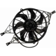 Purchase Top-Quality Radiator Fan Assembly by DORMAN (OE SOLUTIONS) - 620-029 pa4