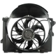 Purchase Top-Quality Radiator Fan Assembly by DORMAN (OE SOLUTIONS) - 620-107 pa1