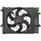 Purchase Top-Quality Radiator Fan Assembly by DORMAN (OE SOLUTIONS) - 620-113 pa5