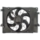 Purchase Top-Quality Radiator Fan Assembly by DORMAN (OE SOLUTIONS) - 620-113 pa7