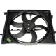 Purchase Top-Quality Radiator Fan Assembly by DORMAN (OE SOLUTIONS) - 620-473 pa2