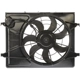 Purchase Top-Quality Radiator Fan Assembly by DORMAN (OE SOLUTIONS) - 620-493 pa1
