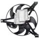 Purchase Top-Quality Radiator Fan Assembly by DORMAN (OE SOLUTIONS) - 620-603 pa6