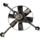 Purchase Top-Quality Radiator Fan Assembly by DORMAN (OE SOLUTIONS) - 620-612 pa1