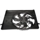 Purchase Top-Quality Radiator Fan Assembly by DORMAN (OE SOLUTIONS) - 620-728 pa8