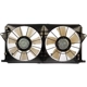 Purchase Top-Quality Radiator Fan Assembly by DORMAN (OE SOLUTIONS) - 620-975 pa1