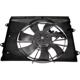 Purchase Top-Quality DORMAN (OE SOLUTIONS) - 621-967 - Radiator Fan Assembly pa2
