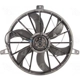 Purchase Top-Quality Radiator Fan Assembly by FOUR SEASONS - 75254 pa12