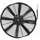 Purchase Top-Quality Radiator Fan Assembly by HAYDEN - 3931 pa4
