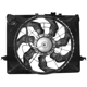 Purchase Top-Quality Radiator Fan Assembly - HY3115129 pa2