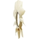Purchase Top-Quality Radiator Fan Blade - FO3112128 pa5