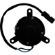 Purchase Top-Quality Radiator Fan Motor by CONTINENTAL - PM9136 pa3