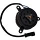 Purchase Top-Quality Radiator Fan Motor by CONTINENTAL - PM9136 pa6