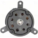 Purchase Top-Quality Radiator Fan Motor by FOUR SEASONS - 35019 pa10