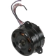 Purchase Top-Quality Radiator Fan Motor by FOUR SEASONS - 35054 pa29