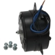 Purchase Top-Quality Radiator Fan Motor by FOUR SEASONS - 35112 pa29