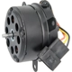 Purchase Top-Quality Radiator Fan Motor by FOUR SEASONS - 35132 pa17