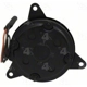 Purchase Top-Quality Radiator Fan Motor by FOUR SEASONS - 35144 pa18