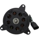 Purchase Top-Quality Radiator Fan Motor by FOUR SEASONS - 35150 pa26