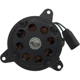 Purchase Top-Quality Radiator Fan Motor by FOUR SEASONS - 35151 pa18