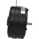 Purchase Top-Quality Radiator Fan Motor by FOUR SEASONS - 35160 pa16
