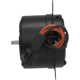Purchase Top-Quality Radiator Fan Motor by FOUR SEASONS - 35166 pa42