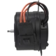 Purchase Top-Quality Radiator Fan Motor by FOUR SEASONS - 35191 pa43