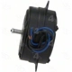 Purchase Top-Quality Radiator Fan Motor by FOUR SEASONS - 35238 pa14