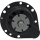 Purchase Top-Quality Radiator Fan Motor by FOUR SEASONS - 35360 pa28