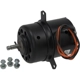 Purchase Top-Quality Radiator Fan Motor by FOUR SEASONS - 35454 pa20
