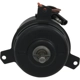 Purchase Top-Quality Radiator Fan Motor by FOUR SEASONS - 35666 pa13