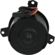 Purchase Top-Quality Radiator Fan Motor by FOUR SEASONS - 35666 pa17
