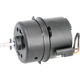 Purchase Top-Quality Radiator Fan Motor by FOUR SEASONS - 35668 pa25