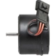 Purchase Top-Quality Radiator Fan Motor by FOUR SEASONS - 75717 pa30