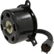 Purchase Top-Quality Radiator Fan Motor by FOUR SEASONS - 75718 pa13
