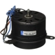 Purchase Top-Quality Radiator Fan Motor by FOUR SEASONS - 75733 pa27