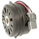 Purchase Top-Quality FOUR SEASONS - 75757 - Radiator Fan Motor pa21