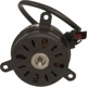 Purchase Top-Quality Radiator Fan Motor by FOUR SEASONS - 75824 pa19
